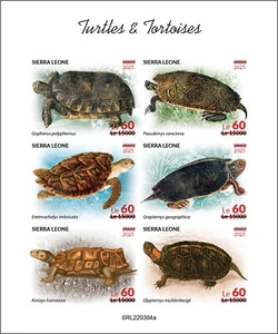 SIERRA LEONE 2025 MS6V IMPERF - OVPT ON 2022 - TURTLE TURTLES - MNH - Picture 1 of 1