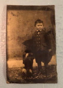 Boy and Dog Tintype  1800s Antique Photograph Vintage - Picture 1 of 3
