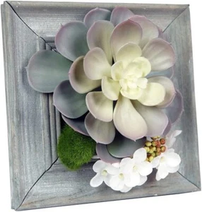 3D Künstliche Topiary Pflanzen Wanddeko Sukkulenten Pflanzen, Rahmen und Wandbehang - Bild 1 von 16