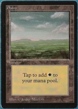 Plains (C Dark) Beta PLD Basic Land MAGIC GATHERING CARD (ID# 247525) ABUGames