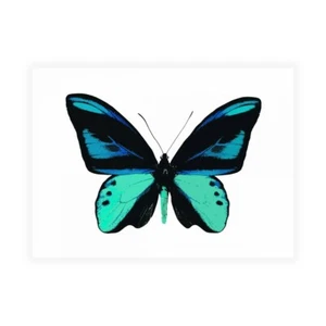 Impresión En Lienzo O Papel Póster O Cuadro Bosque Julia Mariposa Vibrante I - Bild 1 von 2