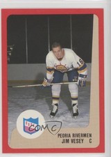 1988-89 ProCards AHL/IHL Jim Vesey
