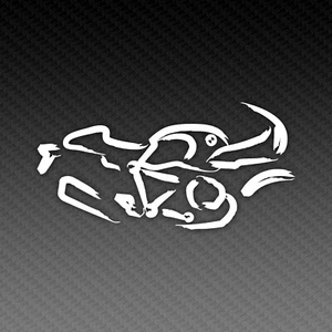 R nineT Racer Kalligraphie Vinyl Decal Aufkleber Sticker 15x8cm - Picture 1 of 3