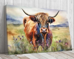 Scottish Hairy Cow Colourful Watercolour mounted canvas print ready to hang - Picture 1 of 10