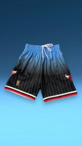 Nuevos $85 L Mitchell and Ness Chicago Bulls 1995 Recarga Swingman NBA Ombre Pantalones Cortos - Imagen 1 de 6