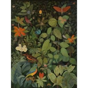 Vögel und Insekten im Dschungel im Audubon-Stil großer Druck 46x61 cm - Bild 1 von 5