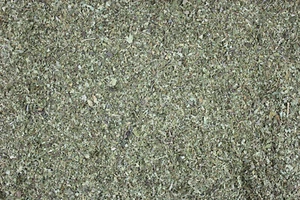 1000Kräuter Haselnussblätter geschnitten Coryli Folium Haselnuss Tee 100 g - Bild 1 von 2