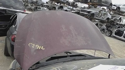 15 16 17 18 19 20 21 KIA SEDONA Capucha Borgoña BGD Foto 1 de 4