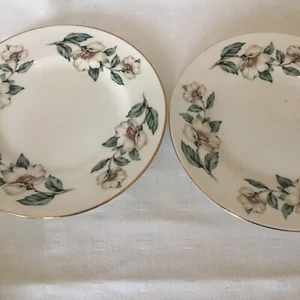 Vintage Crown Staffordshire Bone China 'Dogwood' Side Plates X 2 16cm VGC - Picture 1 of 4