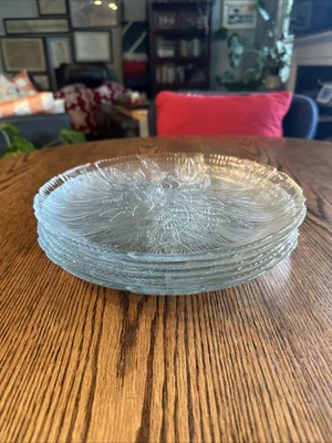 Juego de 6 platos de cena de vidrio transparente Arcoroc Crocus Canterbury de 10 5/8" Foto 1 de 4