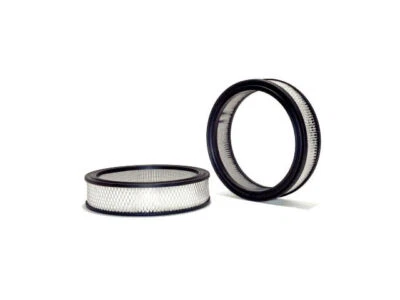 Filtro de aire para motor Fiat 2100 1960-1961 WIX 55419ZDPN 2,1 L 6 cilindros Foto 1 de 2