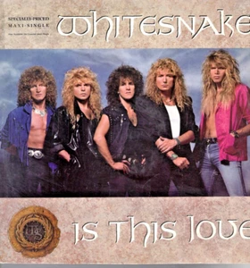 WHITESNAKE on LP " IS THIS LOVE '" rock, hard rock - Picture 1 of 1