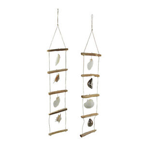 Scallop Sea Shell Driftwood Ladder Hanging Home Décor Set of 2