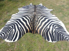 Large ! 6X6 F  Zebra Print Printed Cowhide Rug Natural Cow Hide Skin Beige White