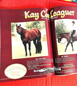 HOT! 1990 QUARTER HORSE JOURNAL, Book - WORLD CHAMPIONSHIP Edition - LOADED! - Picture 1 of 20