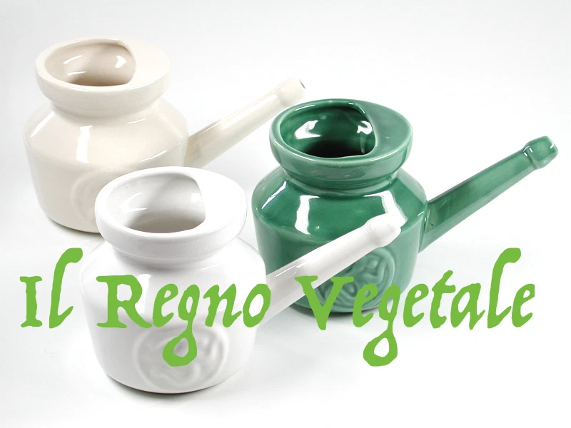 DHANVANTARI NETI LOTA in Terracotta Smaltata India x PULIZIA CAVITA NASALI/SINUSITE Ayurveda