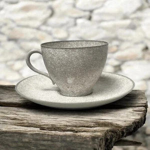 Taza de té y platillo Richard Ginori Pittoria Di Doccia moteado Italia blanco gris gris - Imagen 1 de 7