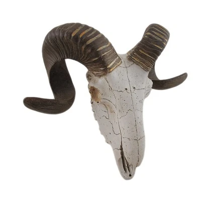 Deco 79 Polystone Sheep Skull Wall Decor, 14 x 5 12, White - Image 1 of 4