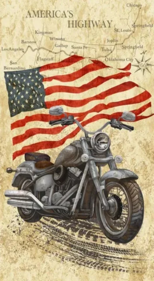 Timeless Treasures Open Road Motorcycle Cotton Quilt Fabric Panel 24" x 44" - Image 1 of 1