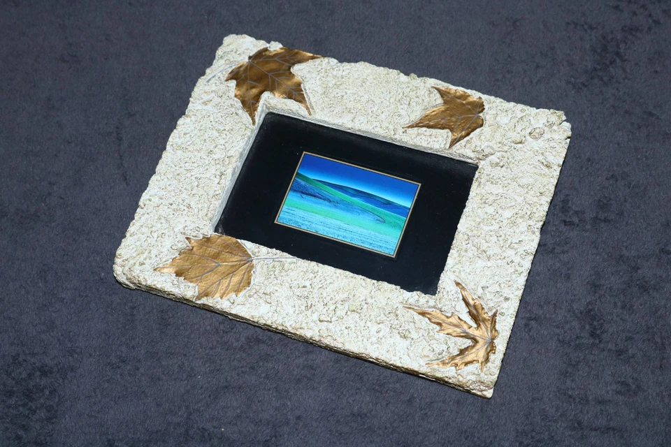 Print Fields Abstract Art beach dune Wall Frame Heavy Cast Maple Leaves WG - Image 1 of 4