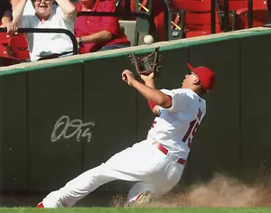 Jon Jay Sliding Catch Autographed Signed 8x10 Photo St. Louis Cardinals - Picture 1 of 1