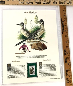 New Mexico Commemorative Mint-Stamp Postal Commemorative Society Collectable. - Picture 1 of 1