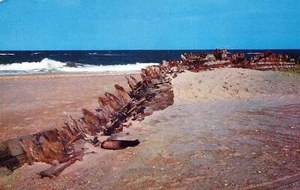 Remains Of The Laura A. Barnes N.C Postcard By Walter H. Miller Unposted - Picture 1 of 2