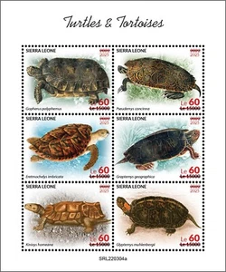 SIERRA LEONE 2025 MS6V - OVPT ON 2022 - TURTLE TURTLES - MNH - Picture 1 of 1