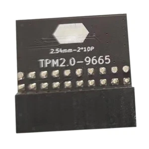 20-Pin-Schutzmodul für Gigabyte Gc-TPM2.0 Zubehör Ersatz - Afbeelding 1 van 6