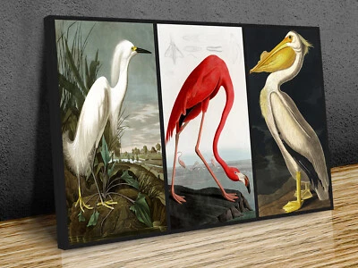 Tríptico Arte Pájaros Collage Audubon lona impresión arte enmarcado en pared o solo impresión Foto 1 de 4