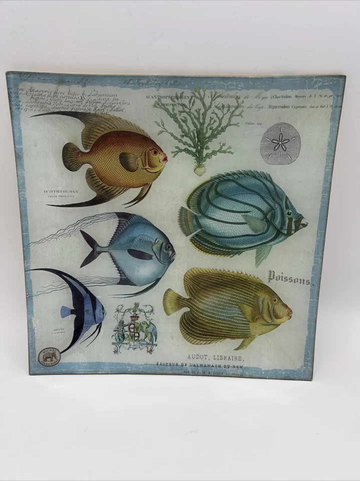 Bandeja de placa de decoupage de vidrio Michel Design Works_francés_pez tropical_10,5" Foto 1 de 4