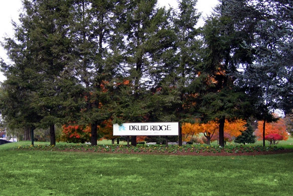 3 Burial Plots Druid Ridge Cemetery Foto 1 de 1