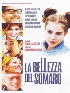 Love & Slaps ( La bellezza del somaro ) ( The Beauty of the Donkey (Love a (DVD) - Picture 1 of 2