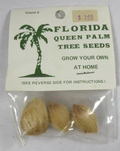 vintage Orange County Florida Queen palm tree seeds package retro decor travel - Picture 1 of 5