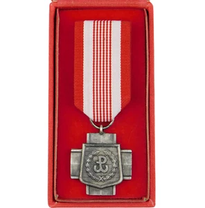 3366 WW2 POLISH CROSS OF AK HOME ARMY POLAND - Picture 1 of 6