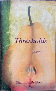 Thresholds by Shannon Belthor (2010, Softcover -1st EDITION, INSCRIBED, SIGNED) - Picture 1 of 4