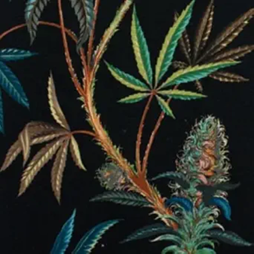 Alexander Henry面料大麻花帆布黑色内饰中等重量 — 第 1/2 张图片