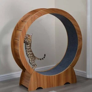 RYpetmia Cat Exercise Wheel Large Wooden/PVC Cat Treadmill Running Wheel Cat Toy - Picture 1 of 65