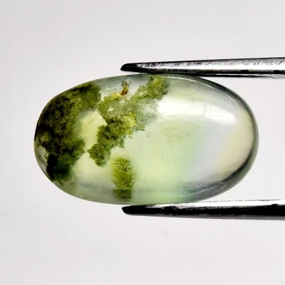 💎 4,90 quilates 14,7 x 8,5 mm cabujón ovalado prehnita verde natural - piedra preciosa de África Foto 1 de 4