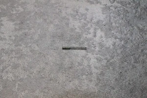 High Standard Supermatic Deluxe 20 gauge Ejector Spring and Plunger (M) - Picture 1 of 1