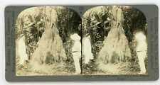 Africa Congo ~ TERMITES WHITE ANTS NEST ~ Stereoview 20754 820d