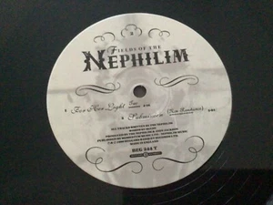 Fields of the Nephilim For her light Two 12 inch vinyl single record - Picture 1 of 4