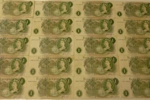 Ein Pfund £1 Banknoten Großpackung 20x Serie C 1960er - 70er Umlaufzustand - Bild 1 von 9