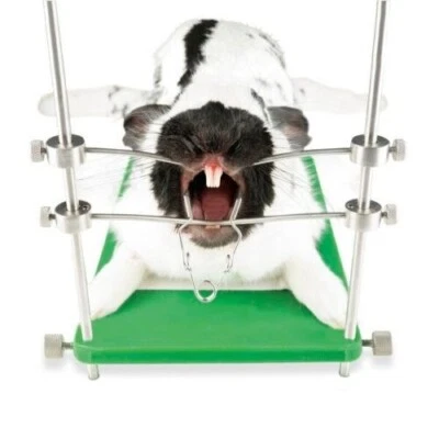 New Mouth Gag Rodent Rabbit House Table Top CE Quality Product British Brand