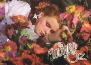 EL MAGO DE OZ SERIE DE PELÍCULAS 2 2007 TARJETA PROMOCIONAL BREYGENT PROMOCIÓN-1 - Imagen 1 de 1