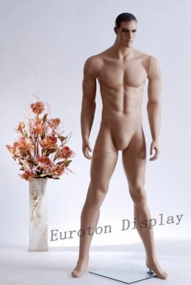 EUROTONDISPLAY männliche Schaufensterpuppe MA-12 Mannequin male Hautfarbe mit Frisur Mann