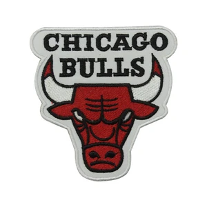 Basketball patch Embroidered Iron on Sew on patch Badge For Clothes - Picture 1 of 1