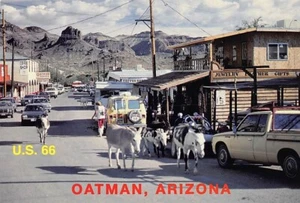 Postkarte AZ: Straßenszene, Oatman, Arizona, 1980er, 4x6 - Bild 1 von 2