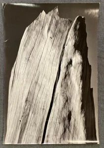 Ansel Adams The White Stump,  Portfolio V, Rare Proof, Black and White Photog... - Bild 1 von 4