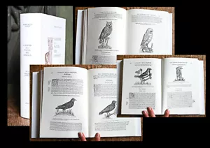 1997 Ornithology Classic Bird Book Fax Belon du Mans L' histoire de la nature... - Bild 1 von 1